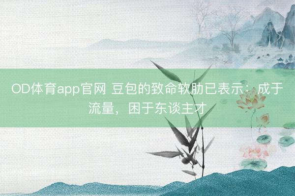 OD体育app官网 豆包的致命软肋已表示：成于流量，困于东谈主才