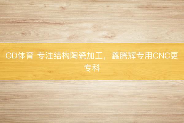 OD体育 专注结构陶瓷加工，鑫腾辉专用CNC更专科