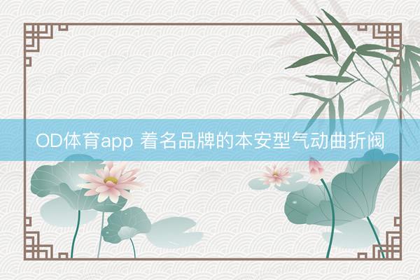 OD体育app 着名品牌的本安型气动曲折阀