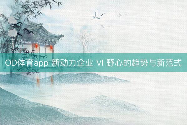 OD体育app 新动力企业 VI 野心的趋势与新范式