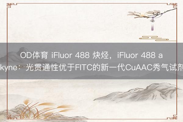 OD体育 iFluor 488 炔烃，iFluor 488 alkyne：光贯通性优于FITC的新一代CuAAC秀气试剂