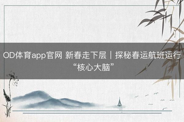 OD体育app官网 新春走下层｜探秘春运航班运行 “核心大脑”