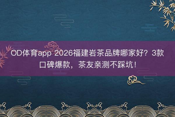 OD体育app 2026福建岩茶品牌哪家好?3款口碑爆款,茶友亲测不踩坑!