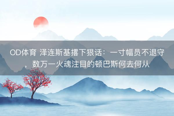 OD体育 泽连斯基撂下狠话：一寸幅员不退守，数万一火魂注目的顿巴斯何去何从